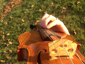 Fall Violin Picture ngb